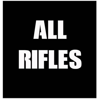 All AEG Airsoft Rifles