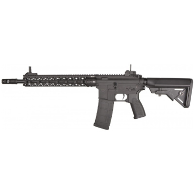 Raven Evolution ORE HIVE 12 AEG - Black