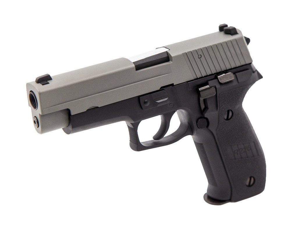 RAVEN - R226 (GREY-BLACK)